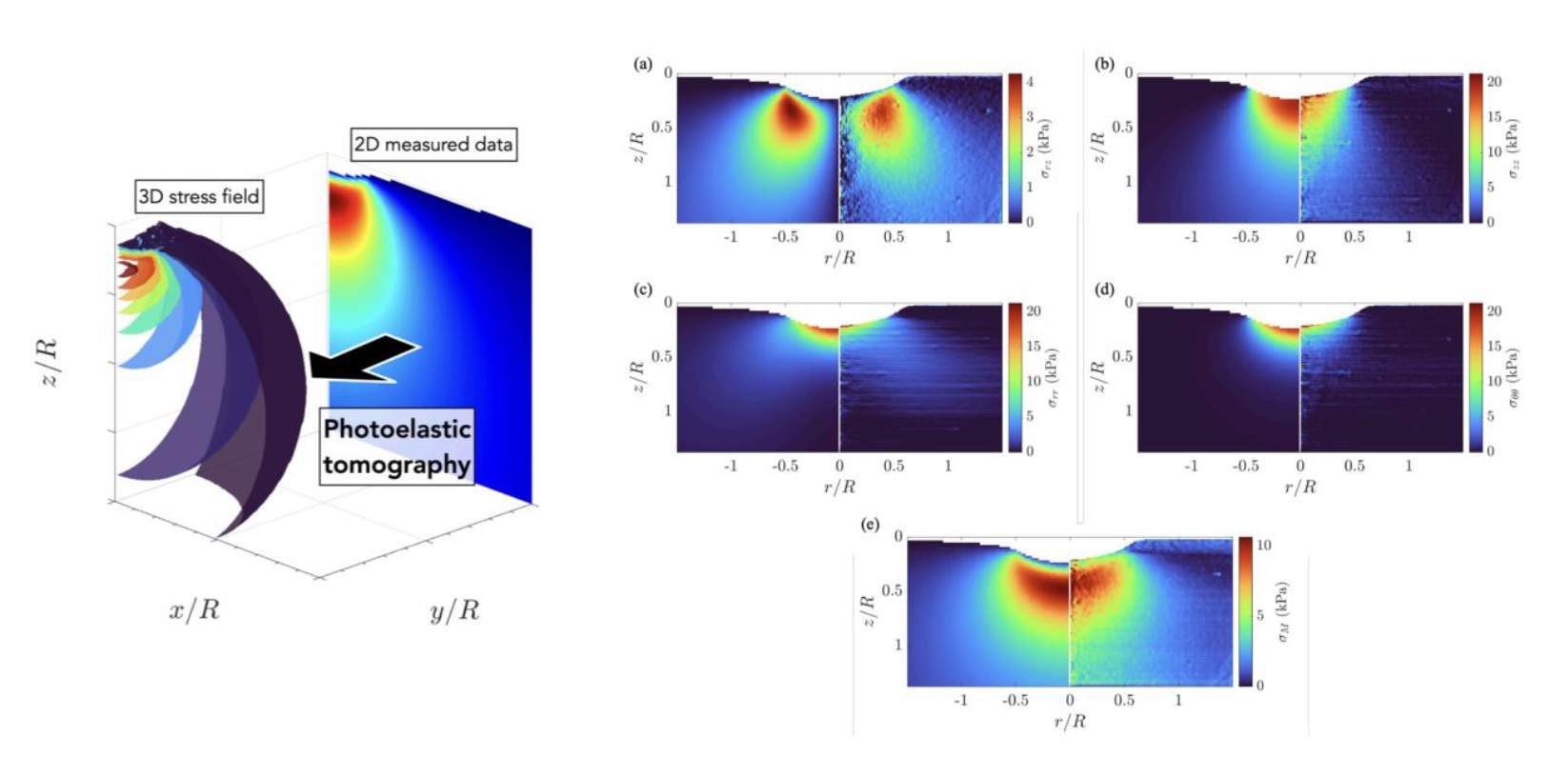 東京農工大学　左図：材料の三次元応力場と偏光カメラで測定した光弾性パラメータの関係：応力材料を通過する光の偏光情報（位相差と方位角）は、材料内部の応力場の積分値に関連している 右図：理論応力場（左側）と実験的応力場（右側の）の比較　月刊ソフトマター